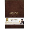 Harry Potter cartes à jouer Collector's Set Limited Edition