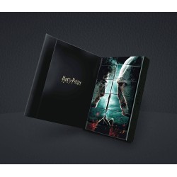 Harry Potter cartes à jouer Collector's Set Limited Edition