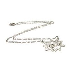 BIG BANG THEORY COLLIER BAZINGA
