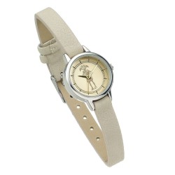 Harry Potter montre Dobby...