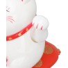 Chat porte bonheur solaire