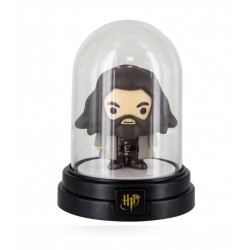 Mini Lampe sous cloche...
