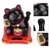 Chat porte bonheur solaire