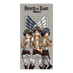 Attack on Titan serviette...