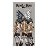 Attack on Titan serviette de bain Group 70 x 140 cm