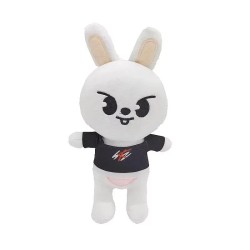 K-POP Peluche stray kids mascotte 15 cm
