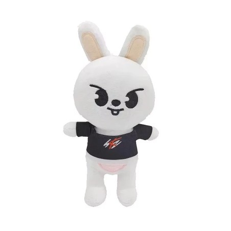 K-POP Peluche stray kids mascotte 15 cm