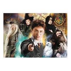 Collection Puzzle - Harry Potter - 500 pièces