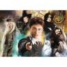 Collection Puzzle - Harry Potter - 500 pièces