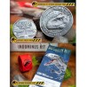Jurassic World - Indominus Kit - Doctor Collector