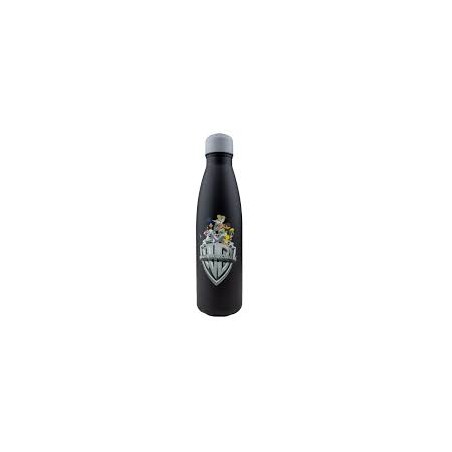 Warner Bros Gourde Isotherme Looney Tunes