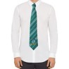 Harry Potter Cravate Serpentard Adultes