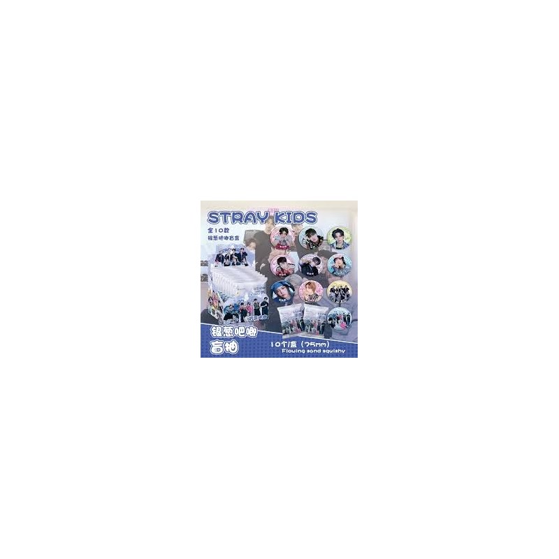 Stray Kids 1 Blind Box Badges 7.5 cm environ