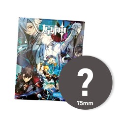 Genshin Impact Badge...