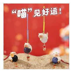 BLIND BOX Charme chat porte bonheur et pierre