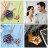 HARRY POTTER Collier duo / couple Choco Grenouille