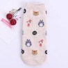 GHIBLI Chaussette courte Totoro