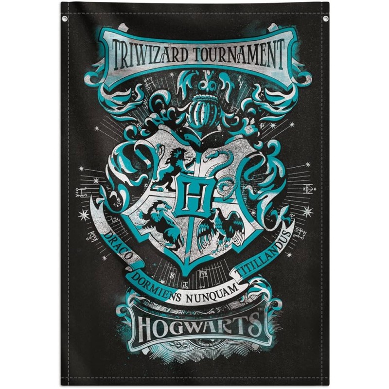 Harry Potter, Toile Murale Tissu 70 x 100 cm