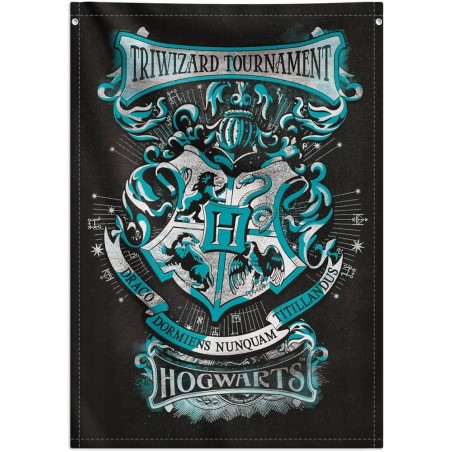 Harry Potter, Toile Murale Tissu 70 x 100 cm