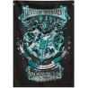 Harry Potter, Toile Murale Tissu 70 x 100 cm