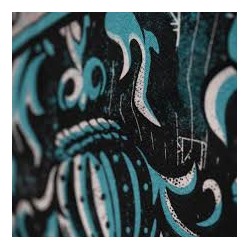 Harry Potter, Toile Murale Tissu 70 x 100 cm
