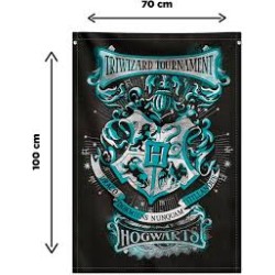 Harry Potter, Toile Murale Tissu 70 x 100 cm