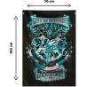 Harry Potter, Toile Murale Tissu 70 x 100 cm