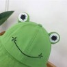 Bob Grenouille verte