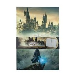 Carnet Hogwarts Legacy :...