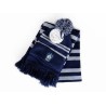 Harry Potter Serdaigle Ensemble bonnet et écharpe d'hiver pour adultes, Bleu, taille unique